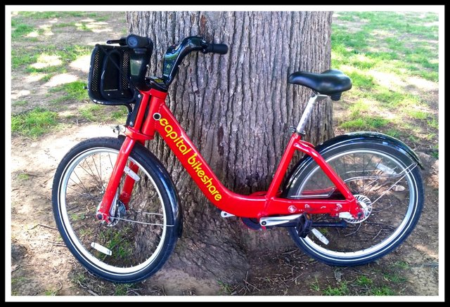 Red bike rental on sale